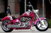 2007 APC Hustler S photo